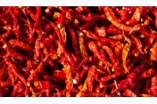 Quante doti per il peperoncino piccante