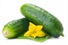 I cetrioli