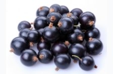 Ribes nero un potente antinfiammatorio vegetale