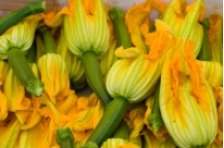 Se friggi in estate stai cucinando i fiori di zucchina in pastella